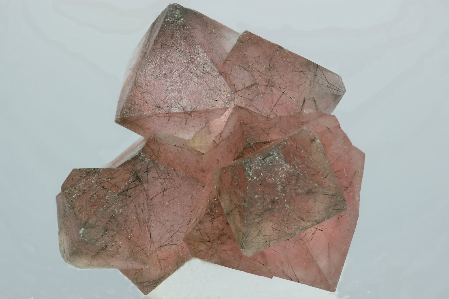 Fluorita
40x40 mm
(Autor: Ramon A  Lopez Garcia)