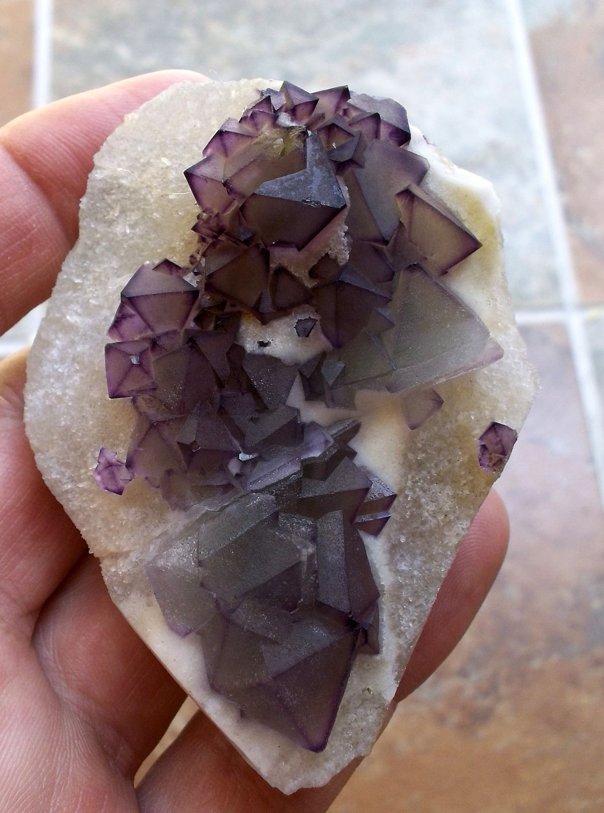 7 x 5 cm
(Autor: Cristalino)