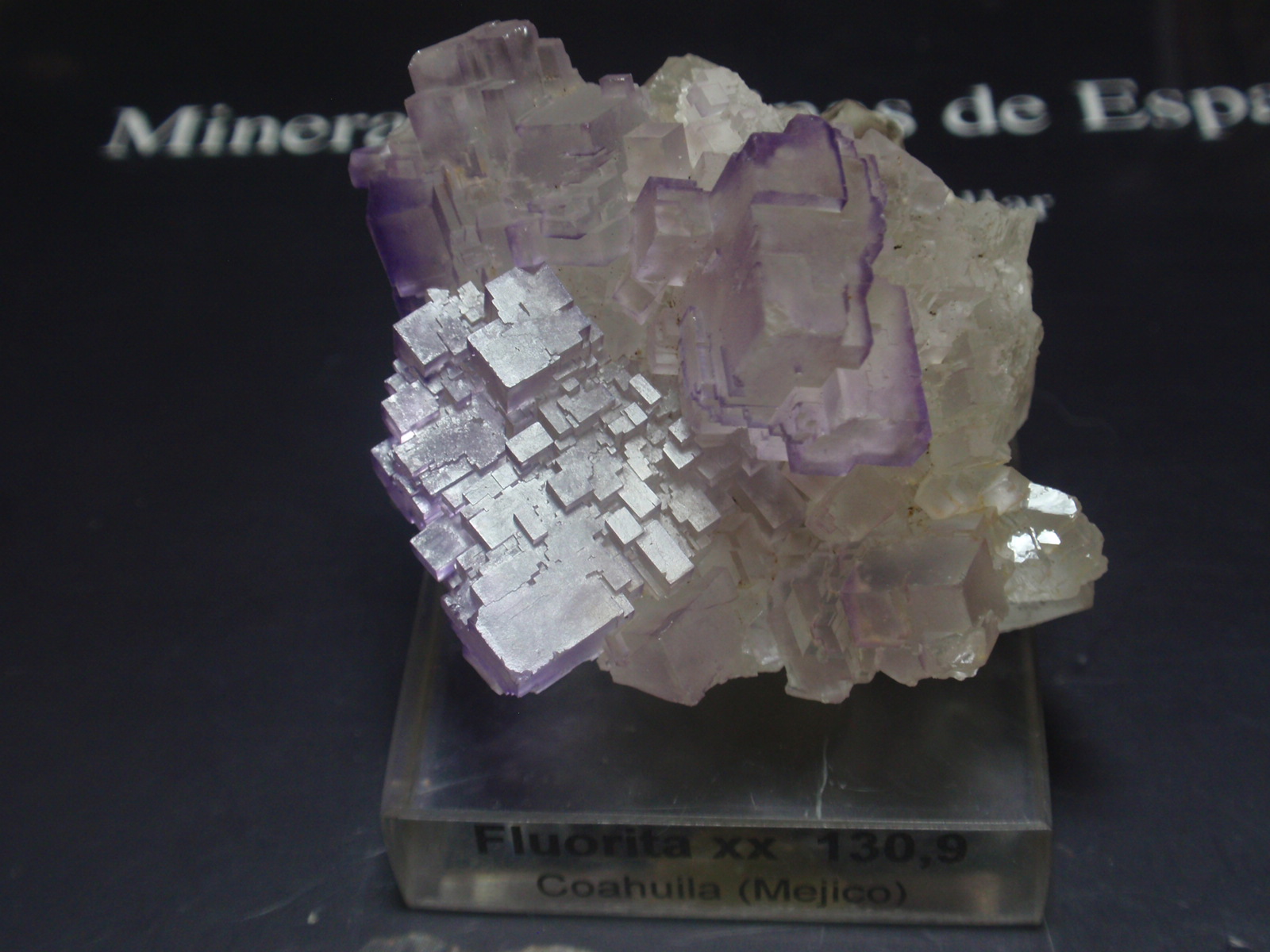 Fluorita
40x40 mm
(Autor: Ignacio)