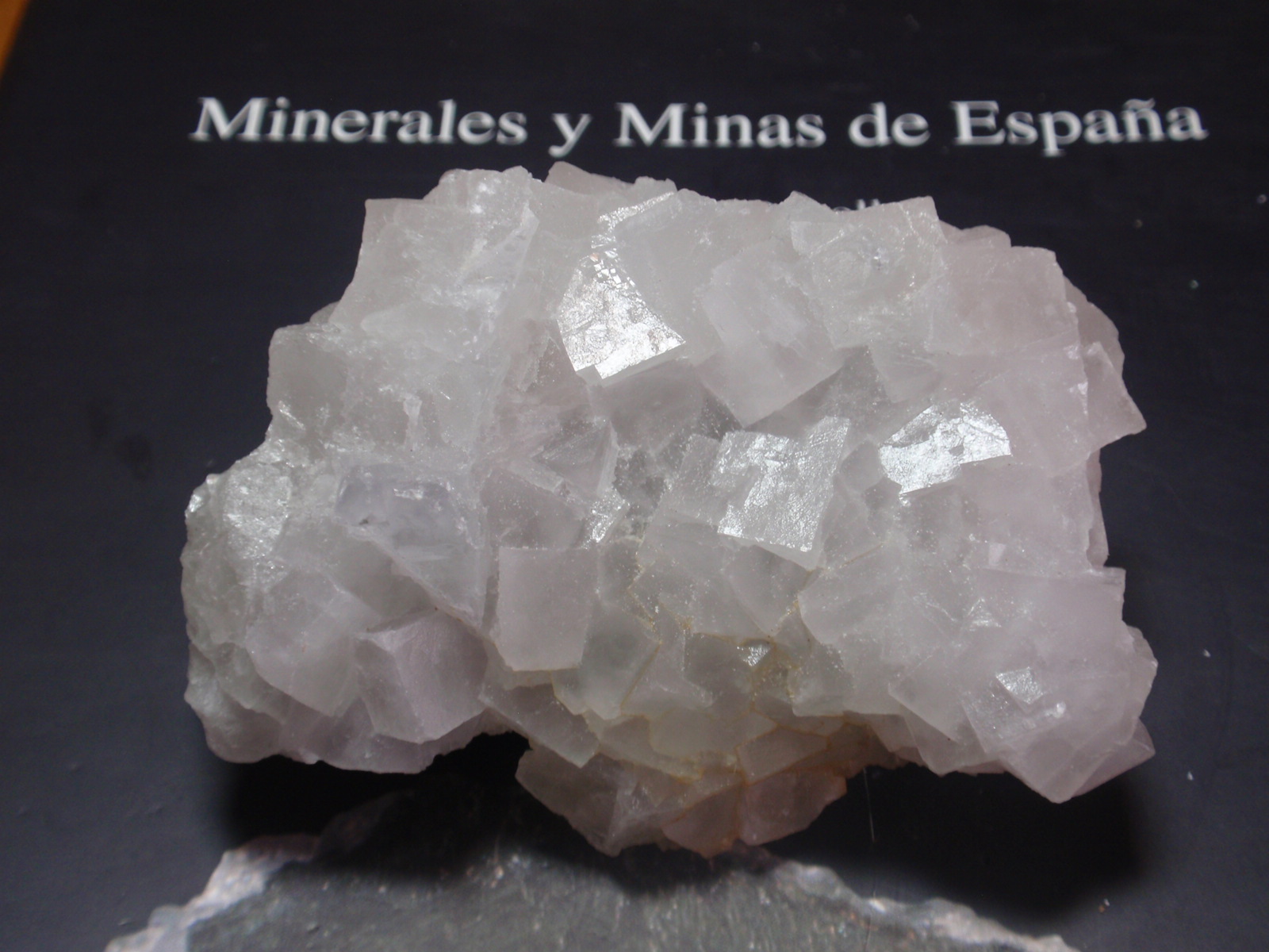 Fluorita
80x60 mm
(Autor: Ignacio)
