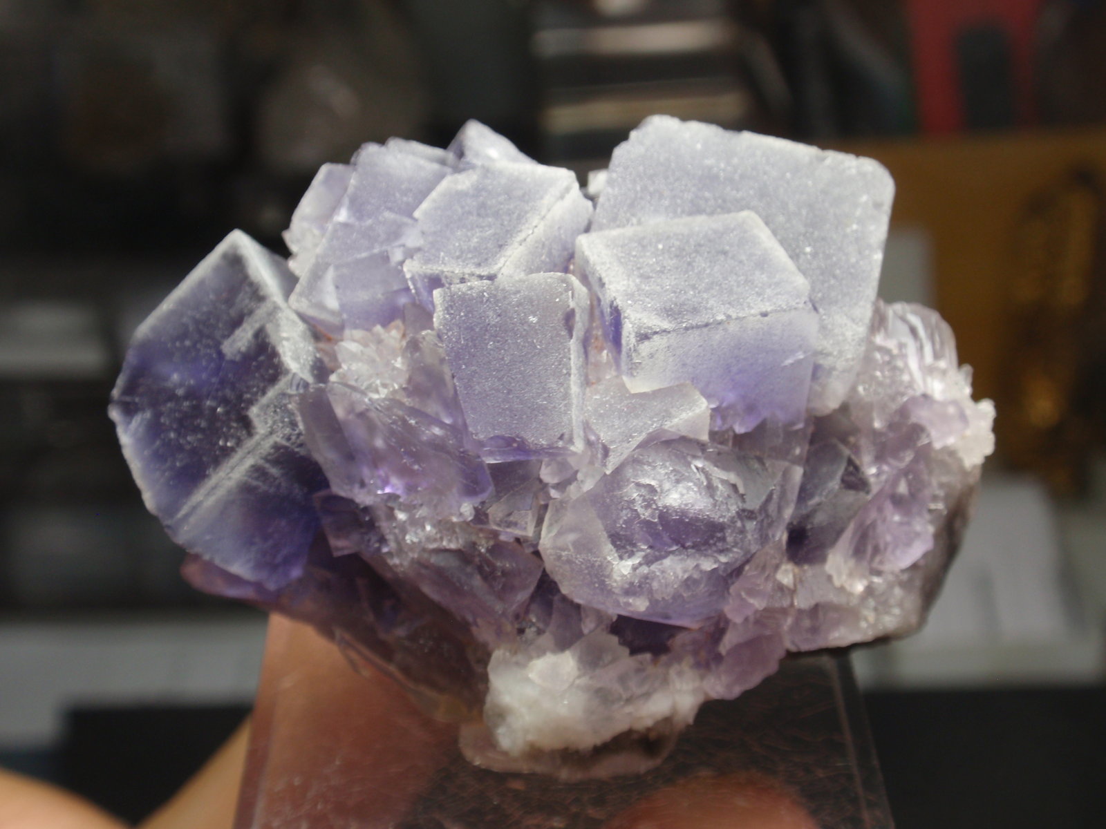 Fluorita
60x40 mm
(Autor: Ignacio)