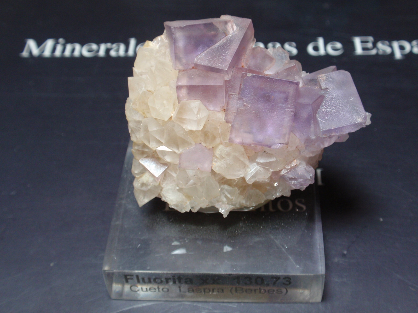 Fluorita
40x35 mm
(Autor: Ignacio)