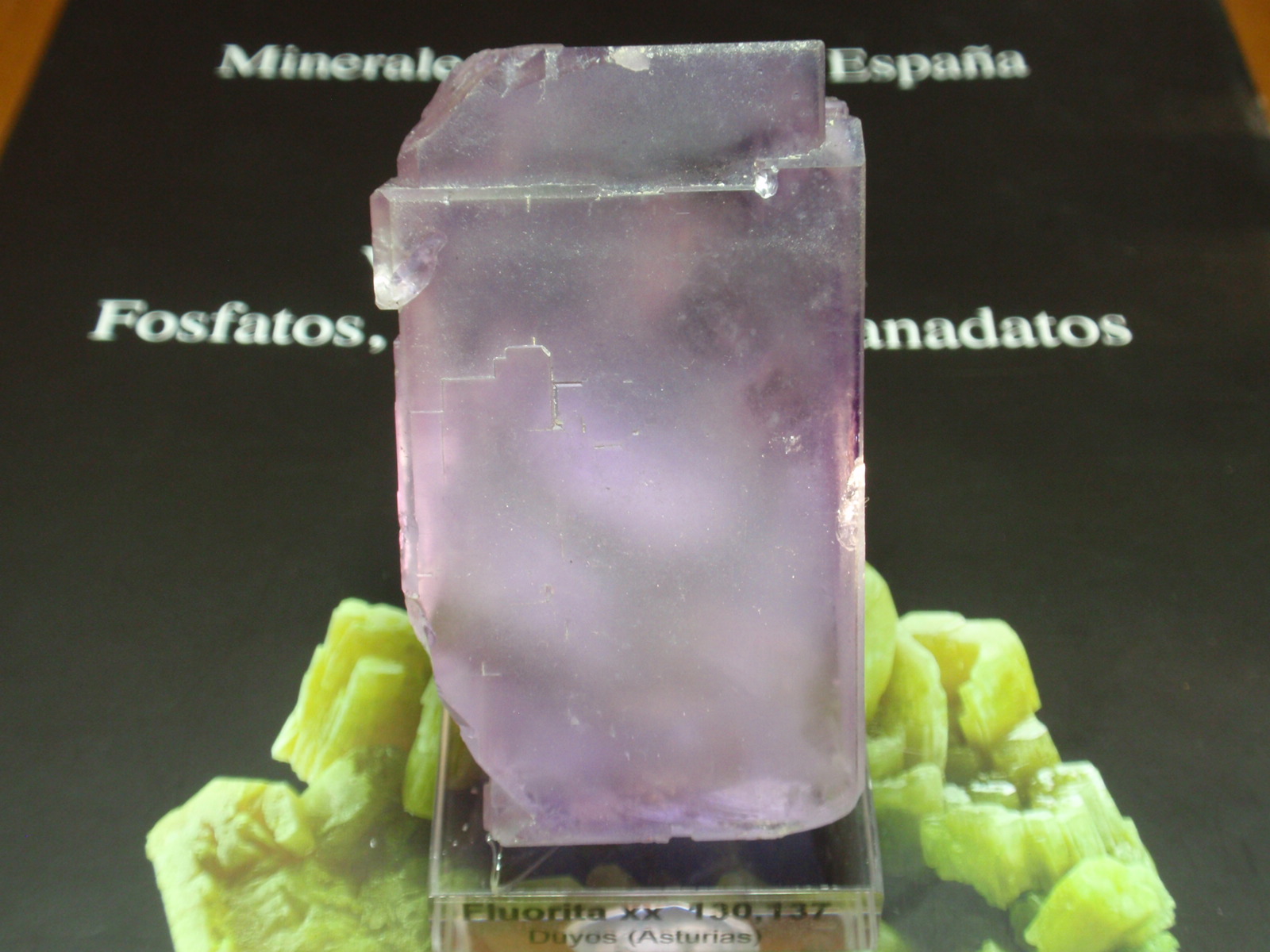 Fluorita
40x65 mm
(Autor: Ignacio)