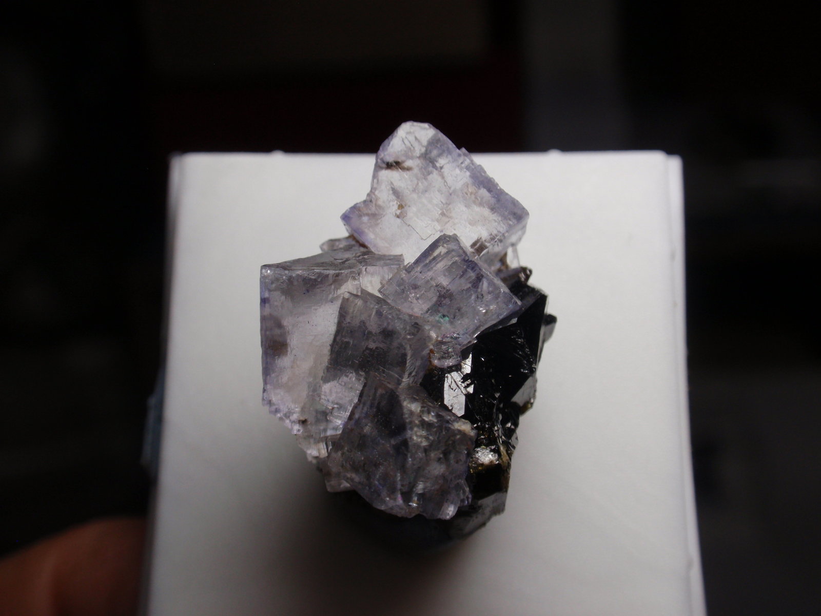 Fluorita
20x20 mm
(Autor: Ignacio)