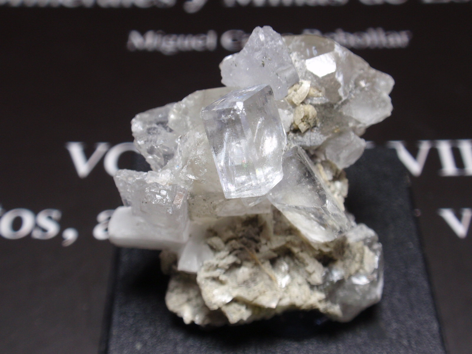 Fluorita
30x30 mm
(Autor: Ignacio)