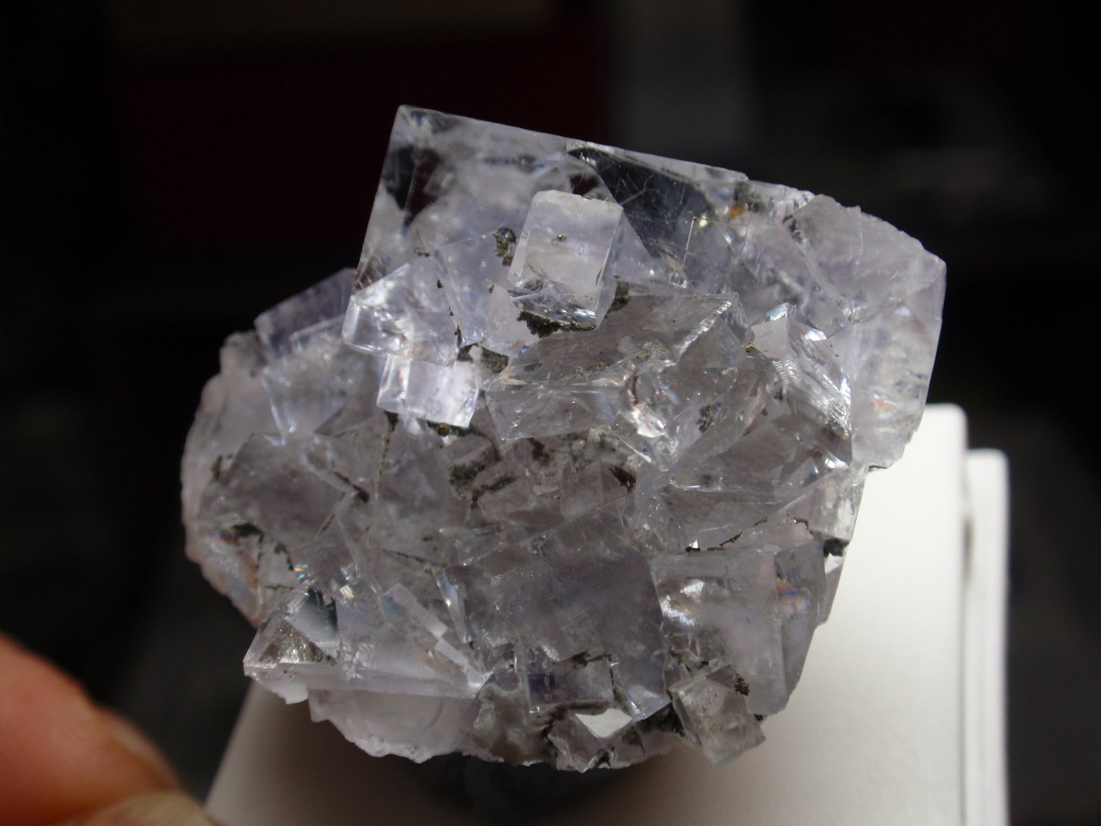 Fluorita
35x25 mm
(Autor: Ignacio)