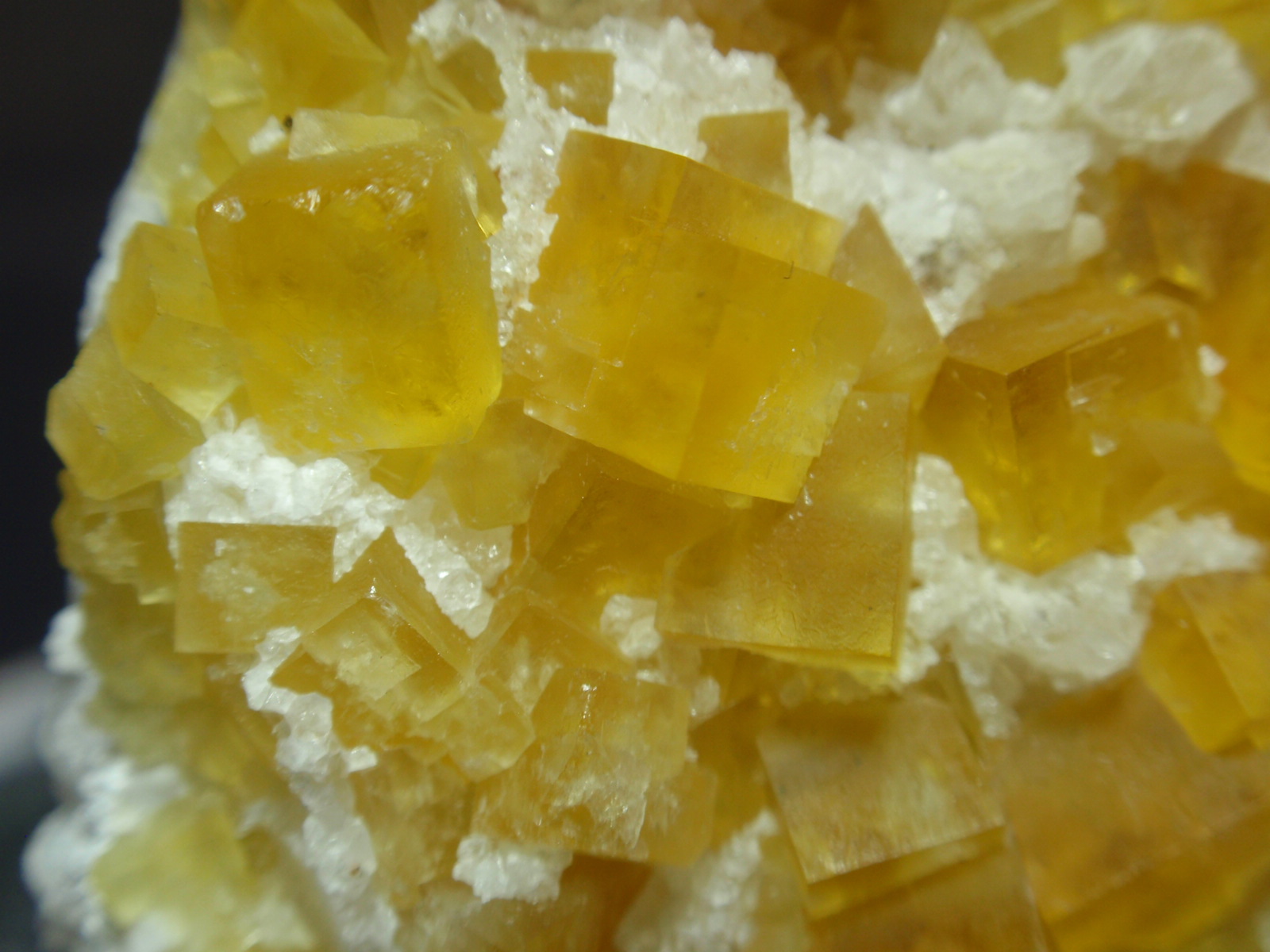 Fluorita
40x80 mm
(Autor: Ignacio)
