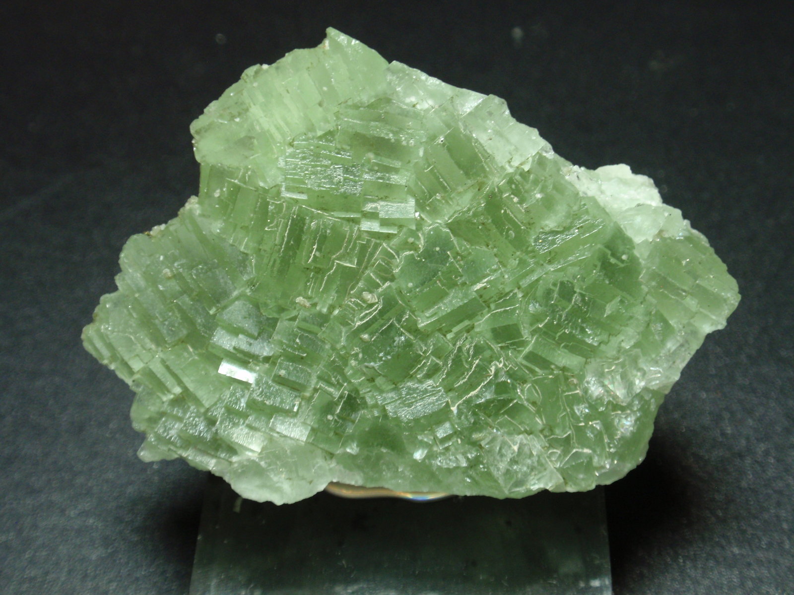 Fluorita
65x45 mm
(Autor: Ignacio)