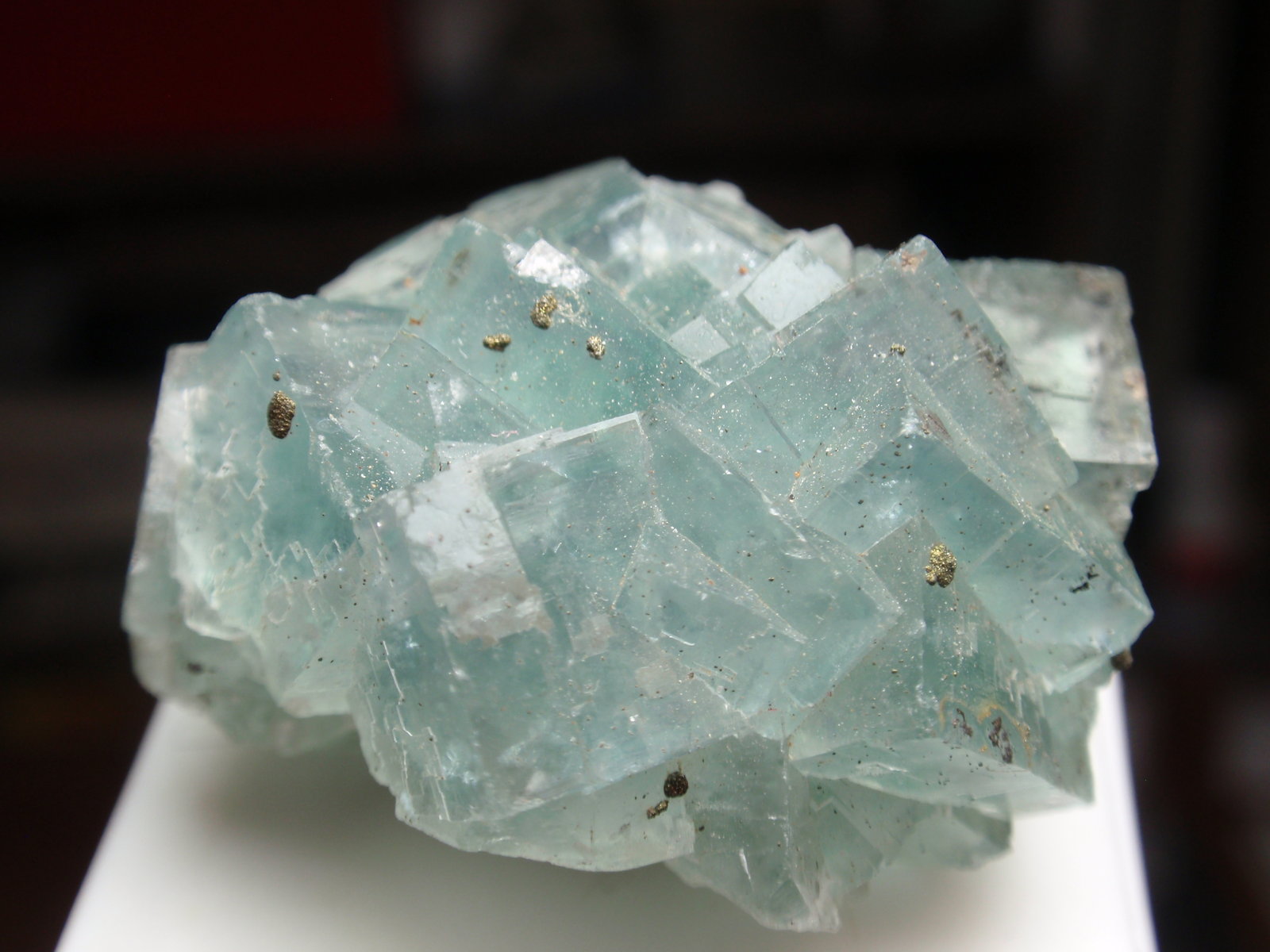 Fluorita
35x20 mm
(Autor: Ignacio)