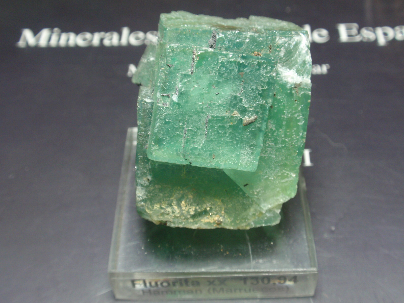 Fluorita
30x40 mm
(Autor: Ignacio)