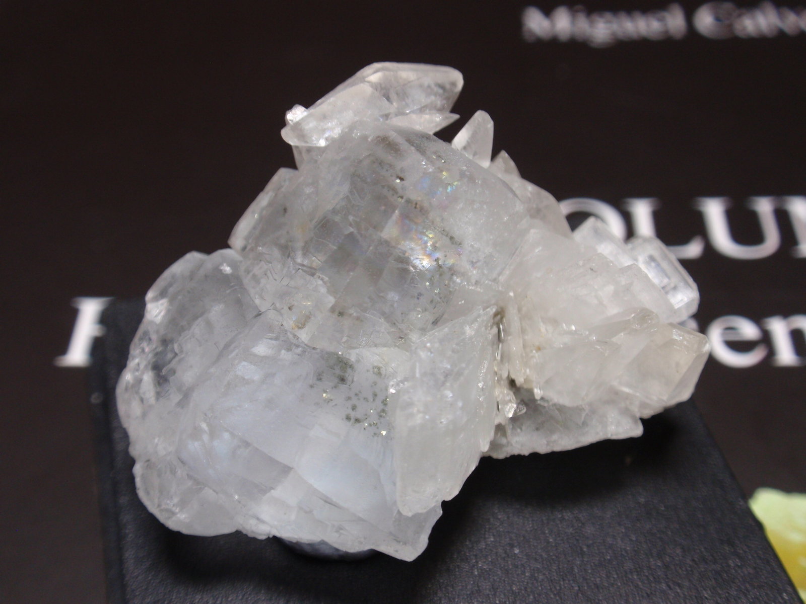 Fluorita
35x20 mm
(Autor: Ignacio)