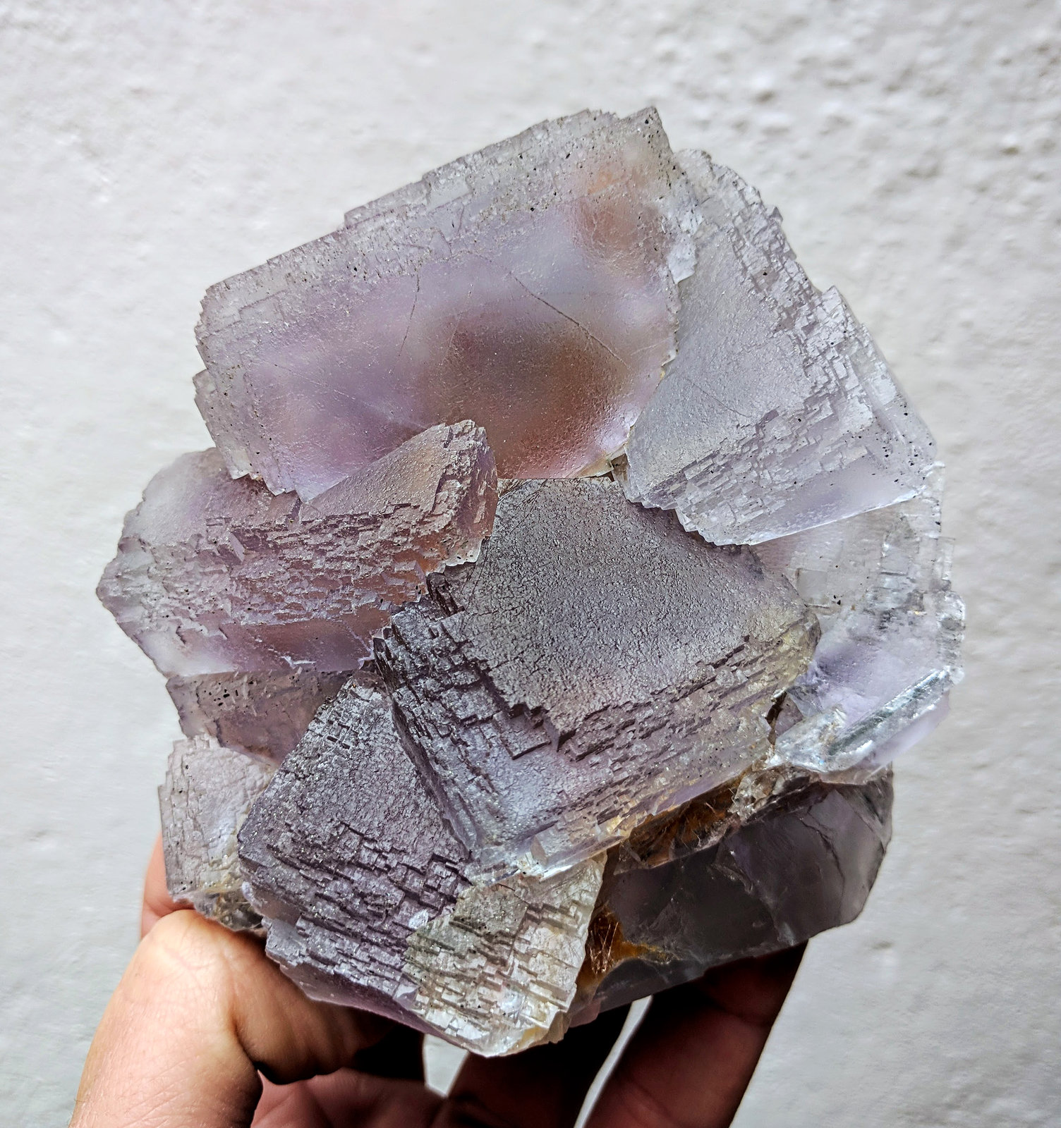Fluorita
11,0 x 9,2 x 5,0 cm
(Autor: carles)