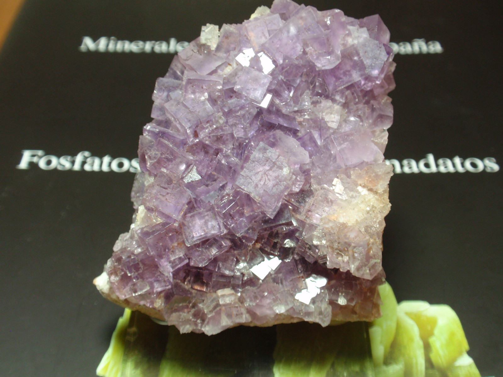 Fluorita
50x60 mm
(Autor: Ignacio)
