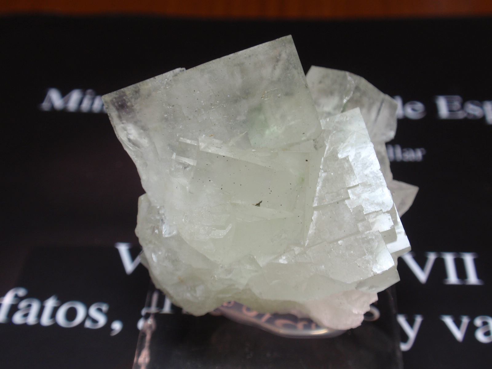 Fluorita
35x40 mm
(Autor: Ignacio)