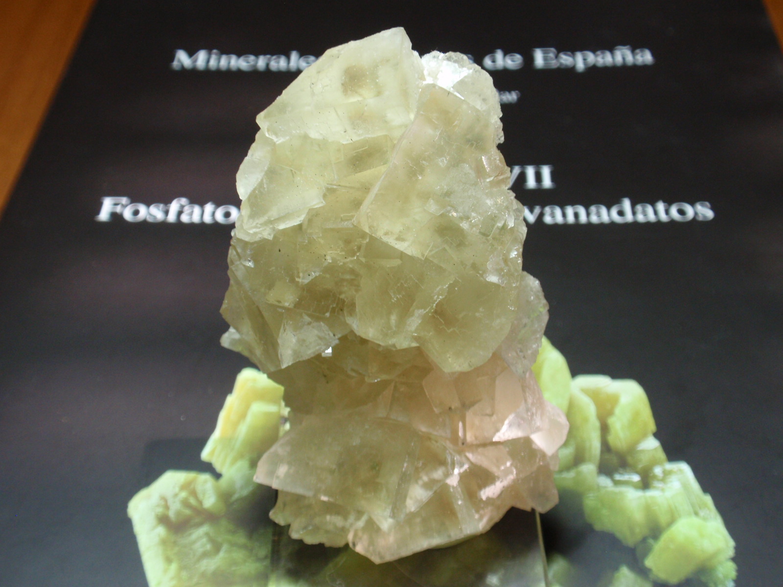 Fluorita
40x75 mm
(Autor: Ignacio)