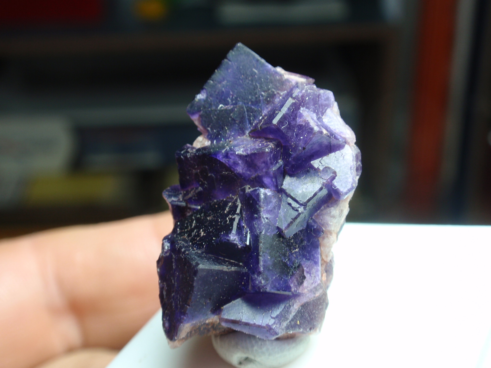 Fluorita
15x25 mm
(Autor: Ignacio)
