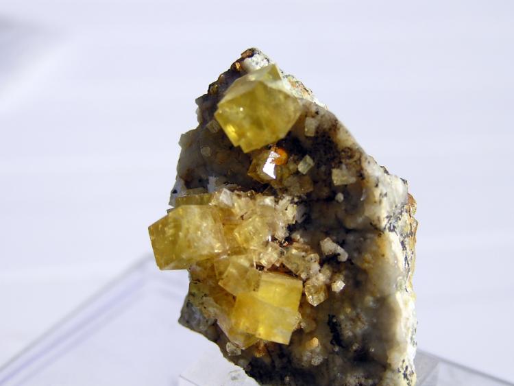 Fluorita
6x4 cm.
(Autor: jcarlosjalcantara)
