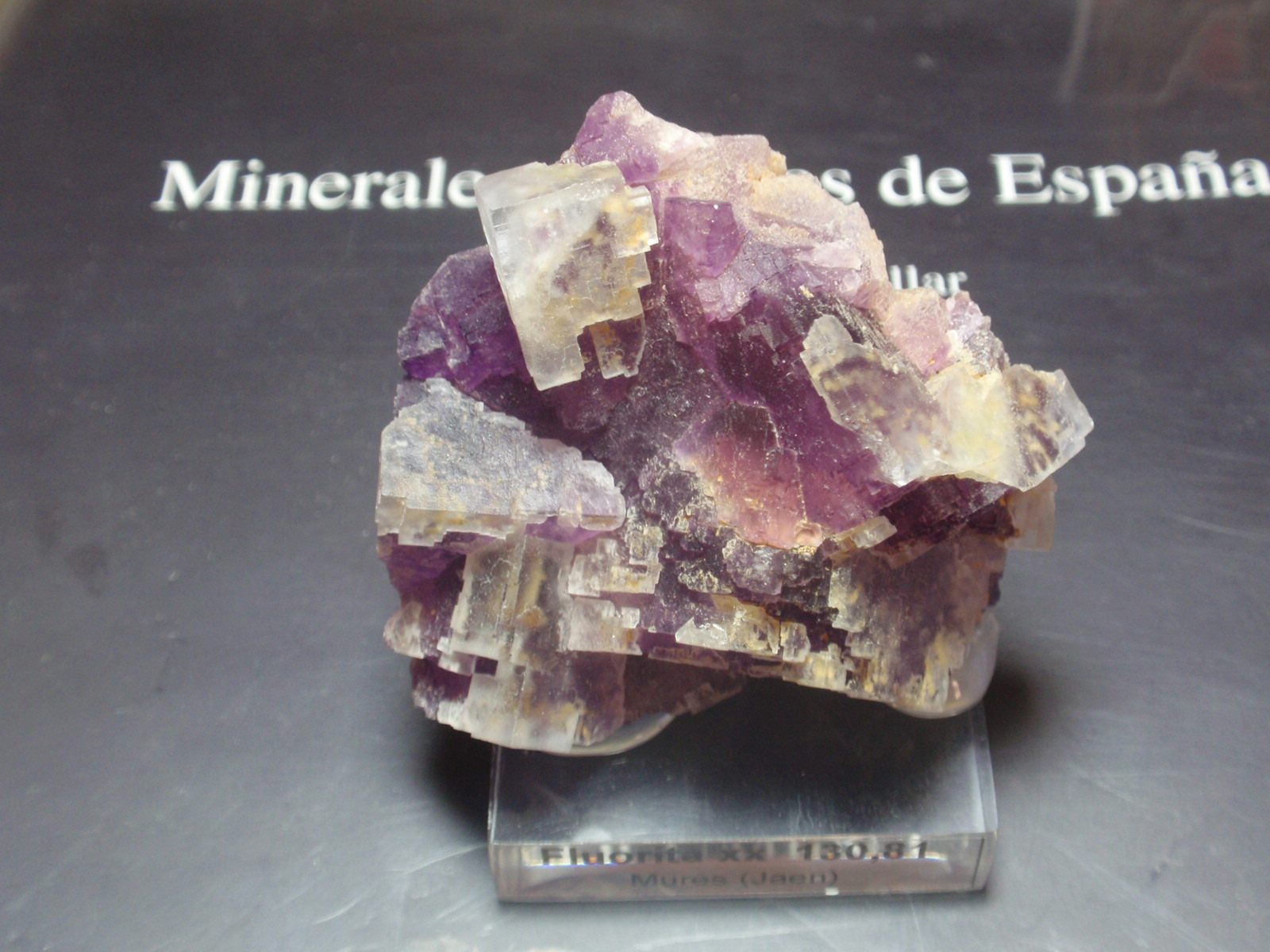 Fluorita
50x50 mm
(Autor: Ignacio)