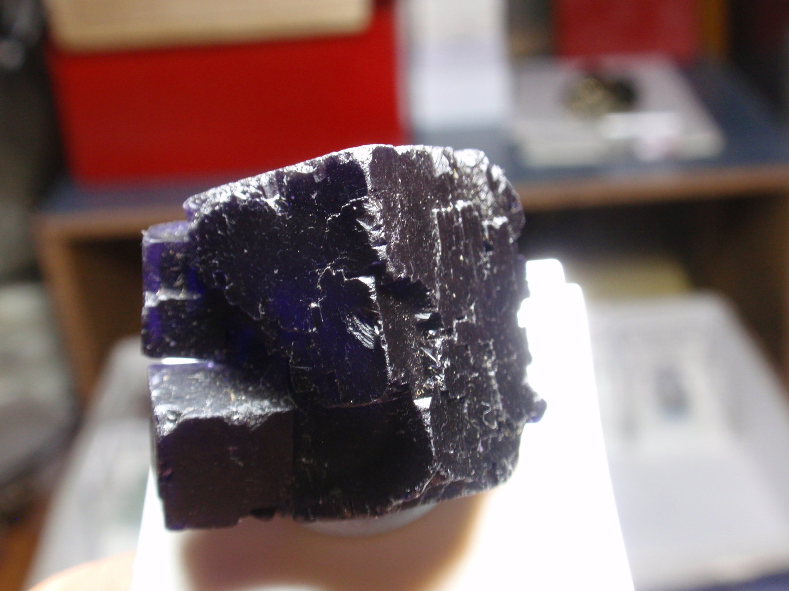 Fluorita
20x30 mm
(Autor: Ignacio)