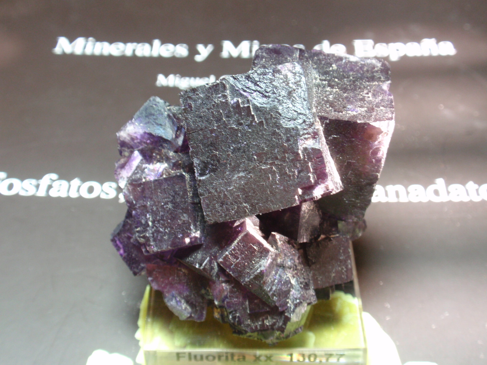 Fluorita
45x45 mm
(Autor: Ignacio)
