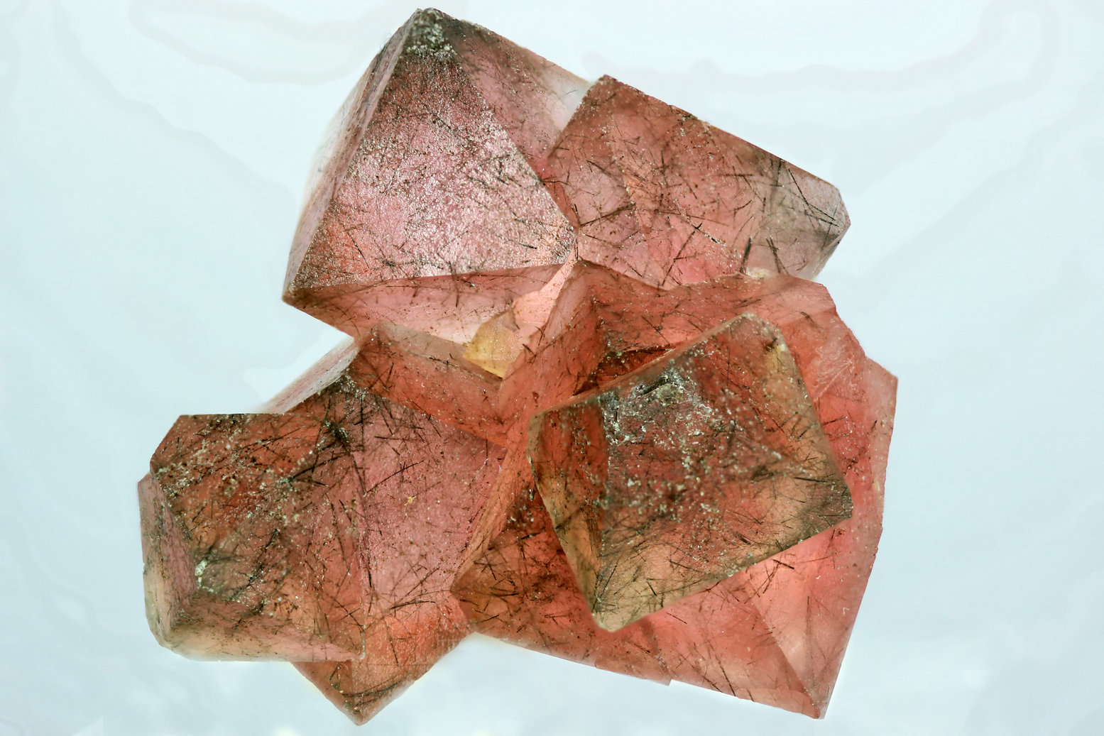 Fluorita
40x40 mm
(Autor: Ramon A  Lopez Garcia)