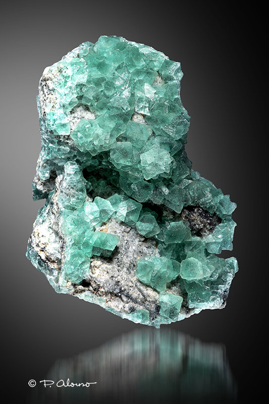 Fluorita
11cm x 8cm x 6,5cm
(Autor: Pere Alonso)