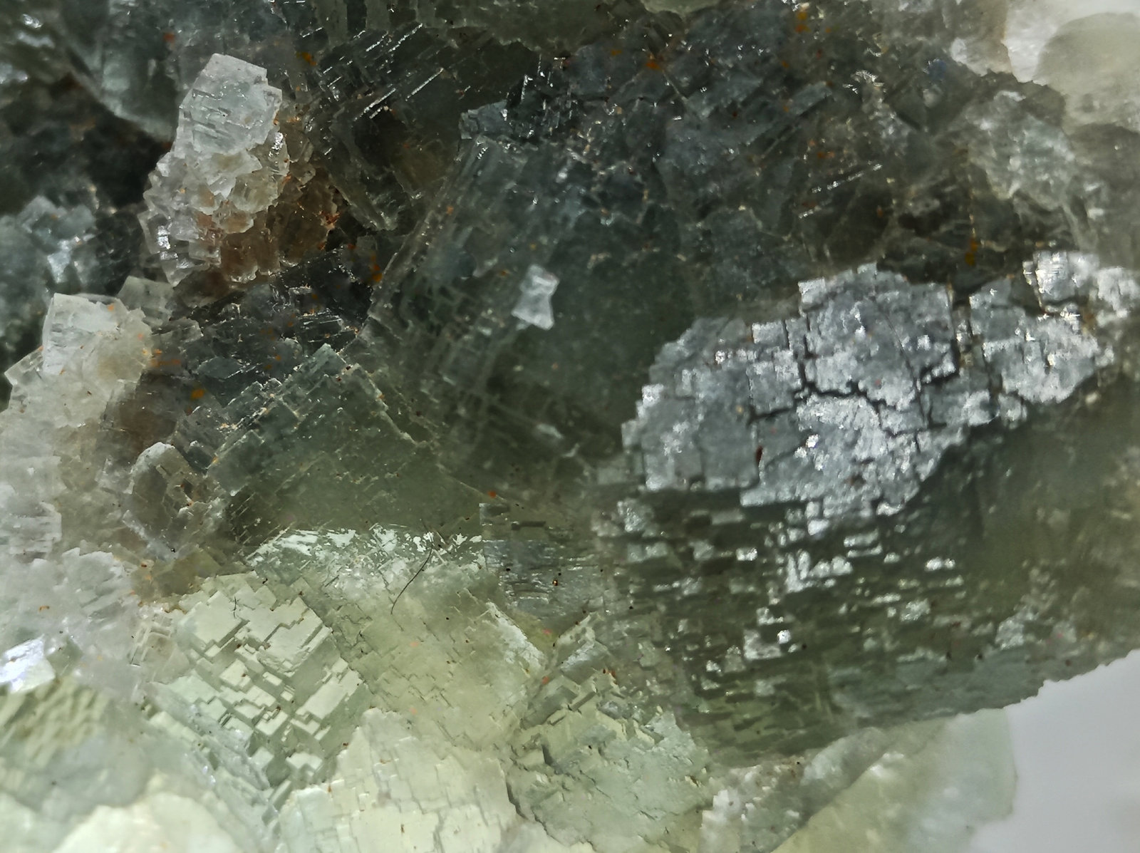 Fluorita
110x70x25 mm.
(Autor: Luis Edmundo Sánchez Roja)