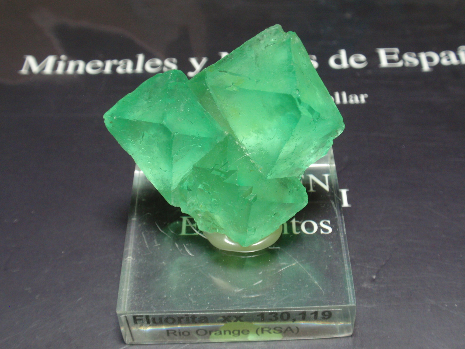Fluorita
40x35 mm
(Autor: Ignacio)