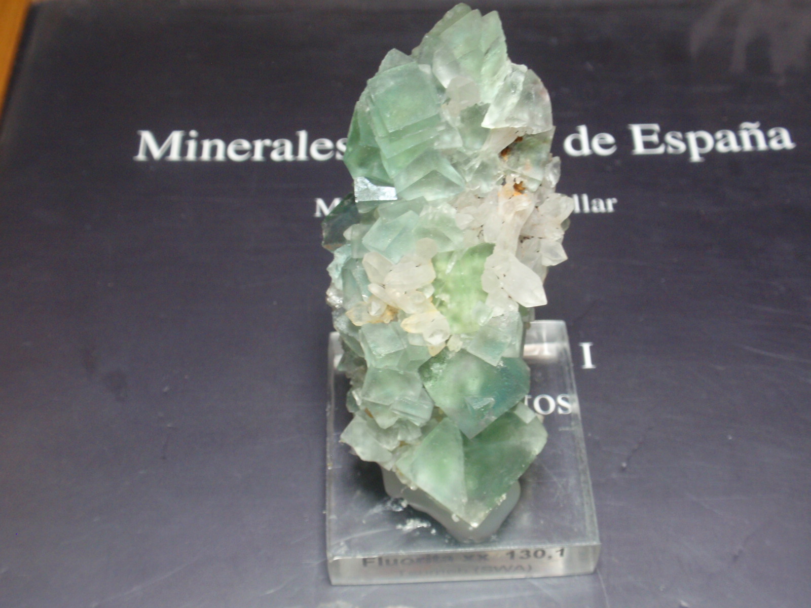 Fluorita
30x70 mm
(Autor: Ignacio)