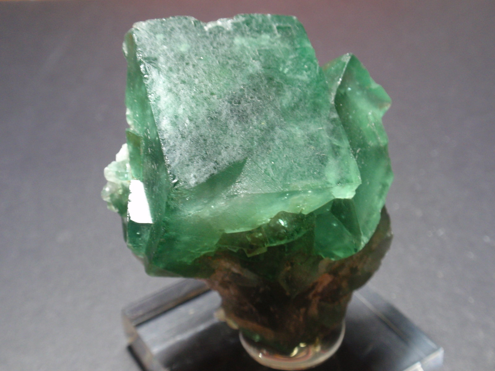 Fluorita
45x60 mm
(Autor: Ignacio)