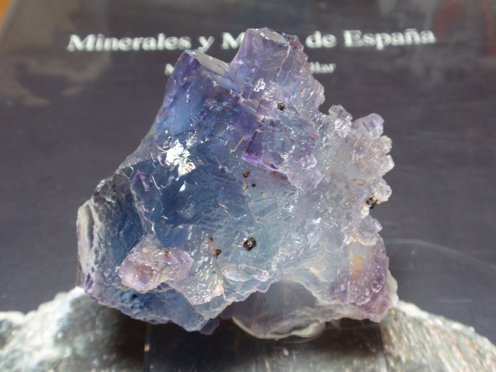 Fluorita
60x60 mm
(Autor: Ignacio)
