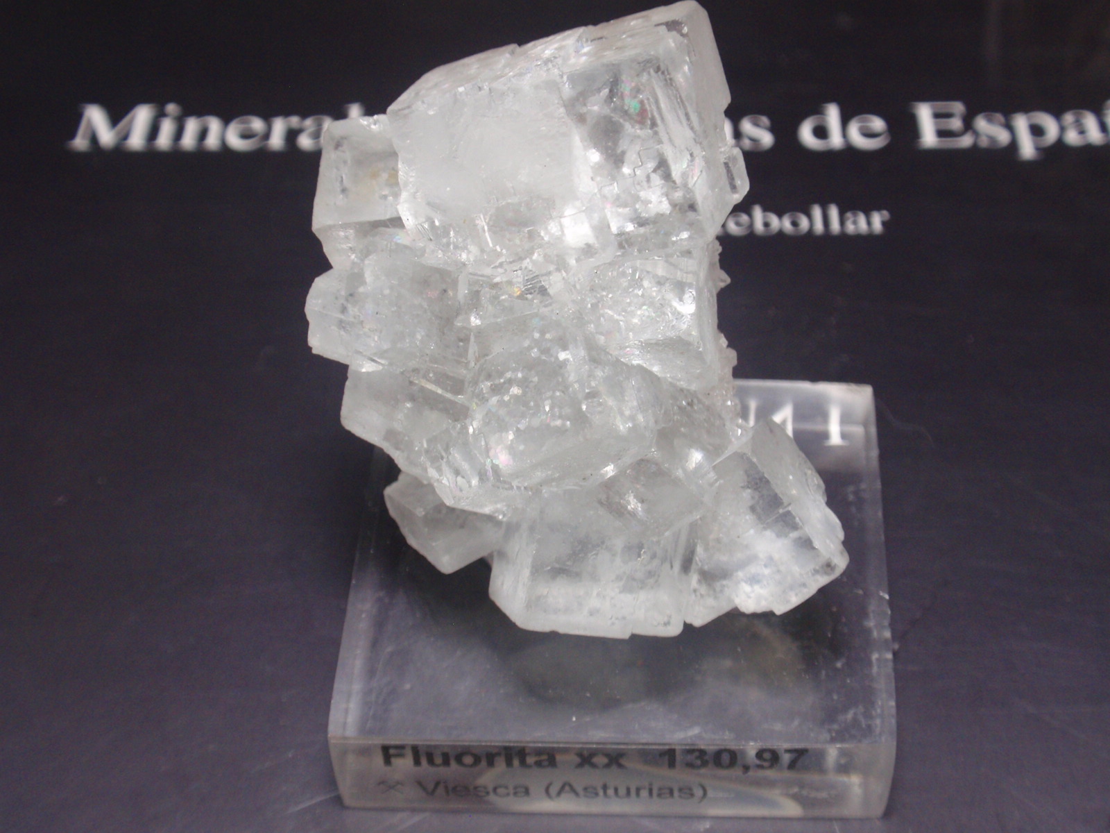 Fluorita
30x45 mm
(Autor: Ignacio)