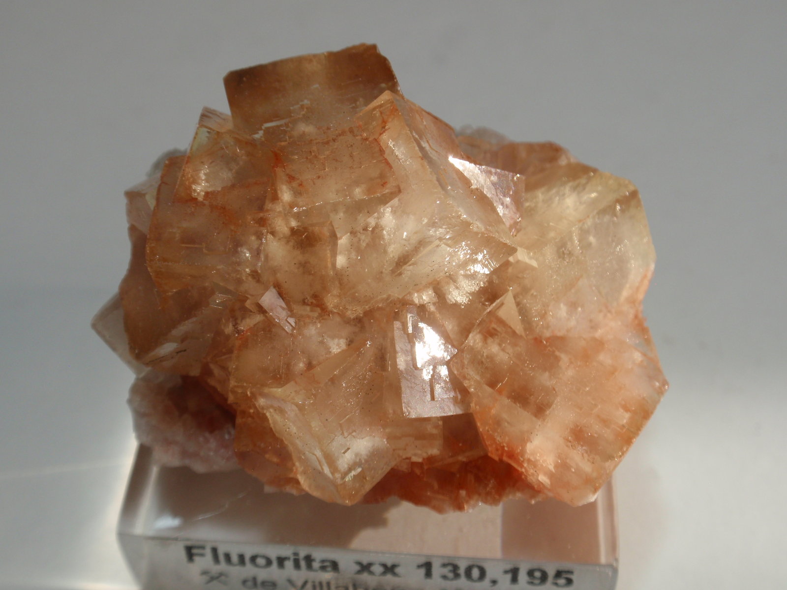 Fluorita
45x35 mm
(Autor: Ignacio)