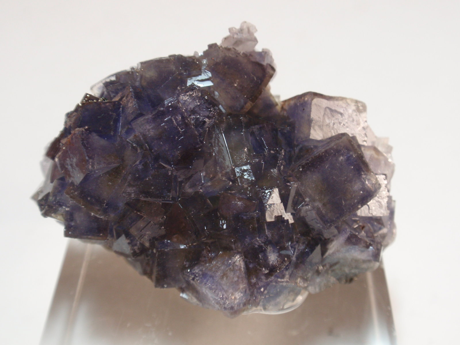 Fluorita
40x30 mm
(Autor: Ignacio)