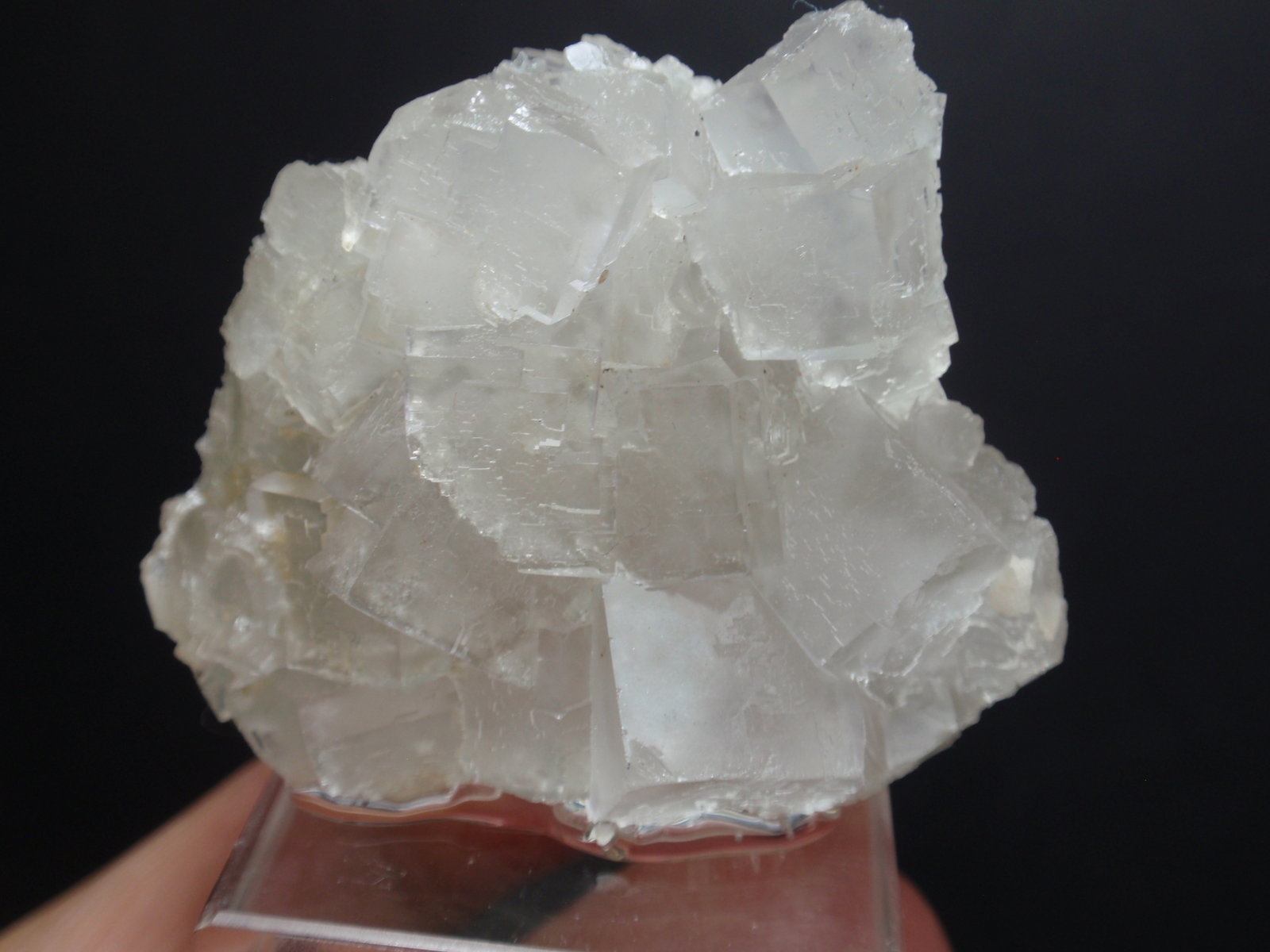 Fluorita
40x20 mm
(Autor: Ignacio)