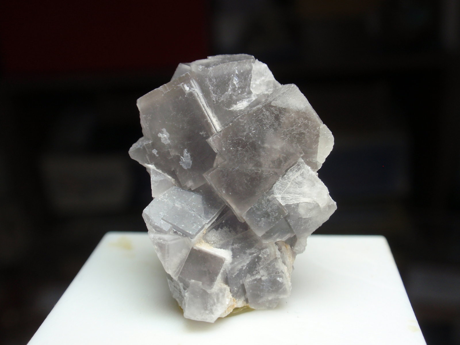 Fluorita
20x30 mm
(Autor: Ignacio)