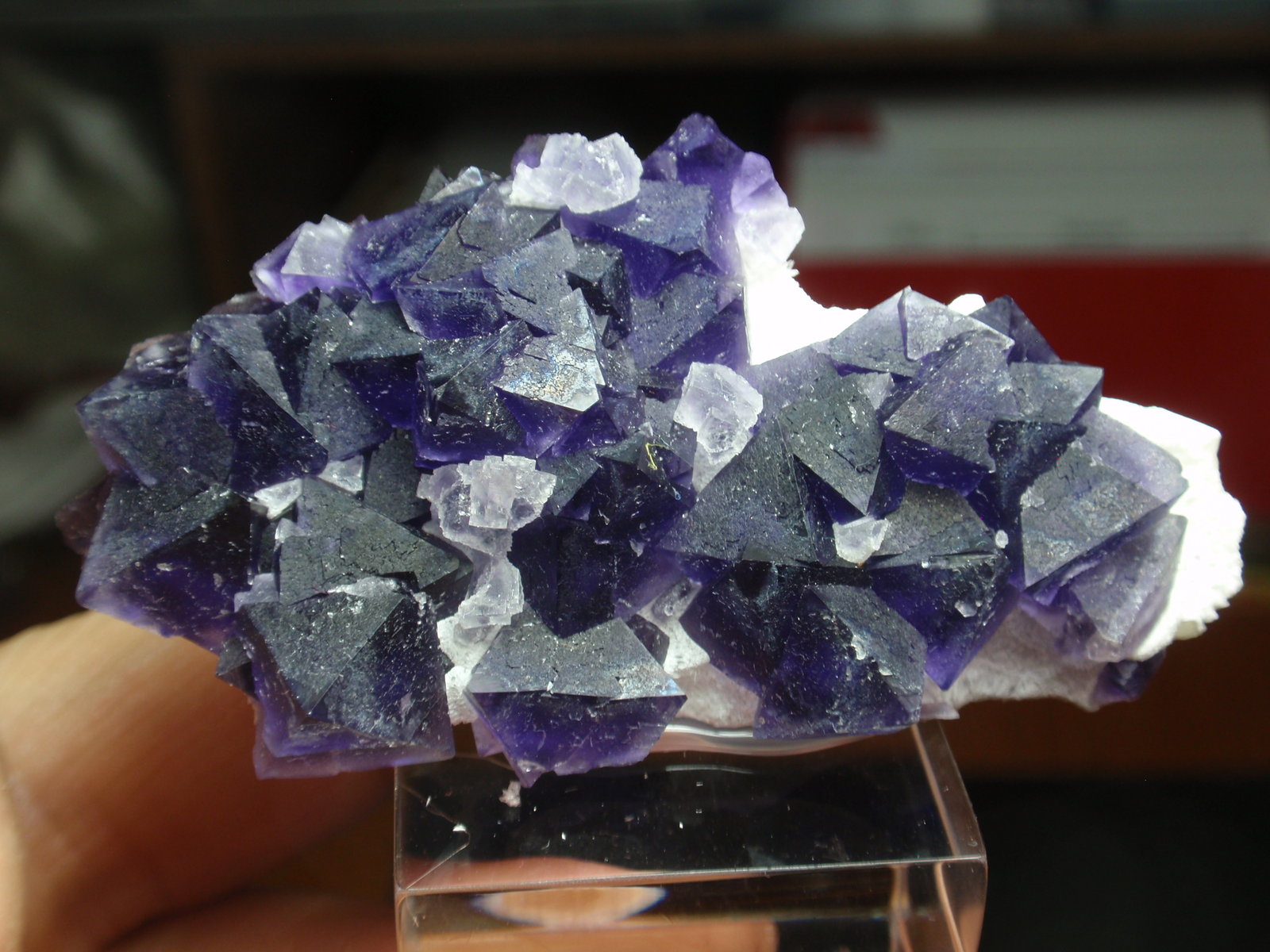 Fluorita
65x30 mm
(Autor: Ignacio)