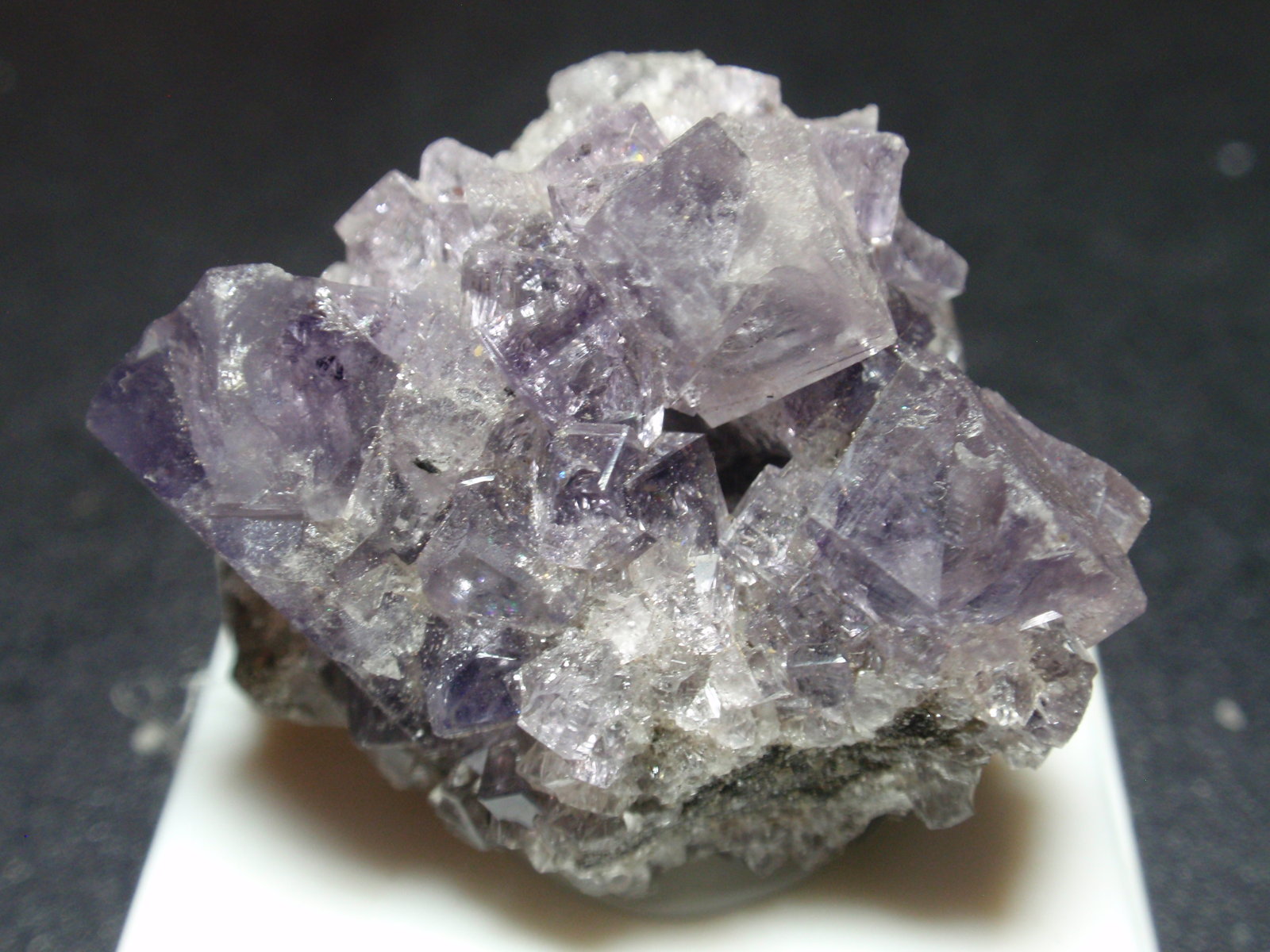 Fluorita
35x30 mm
(Autor: Ignacio)