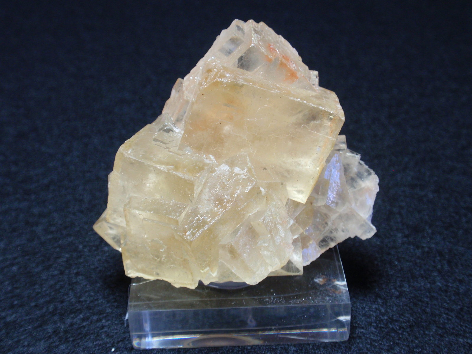 Fluorita
55x40 mm
(Autor: Ignacio)