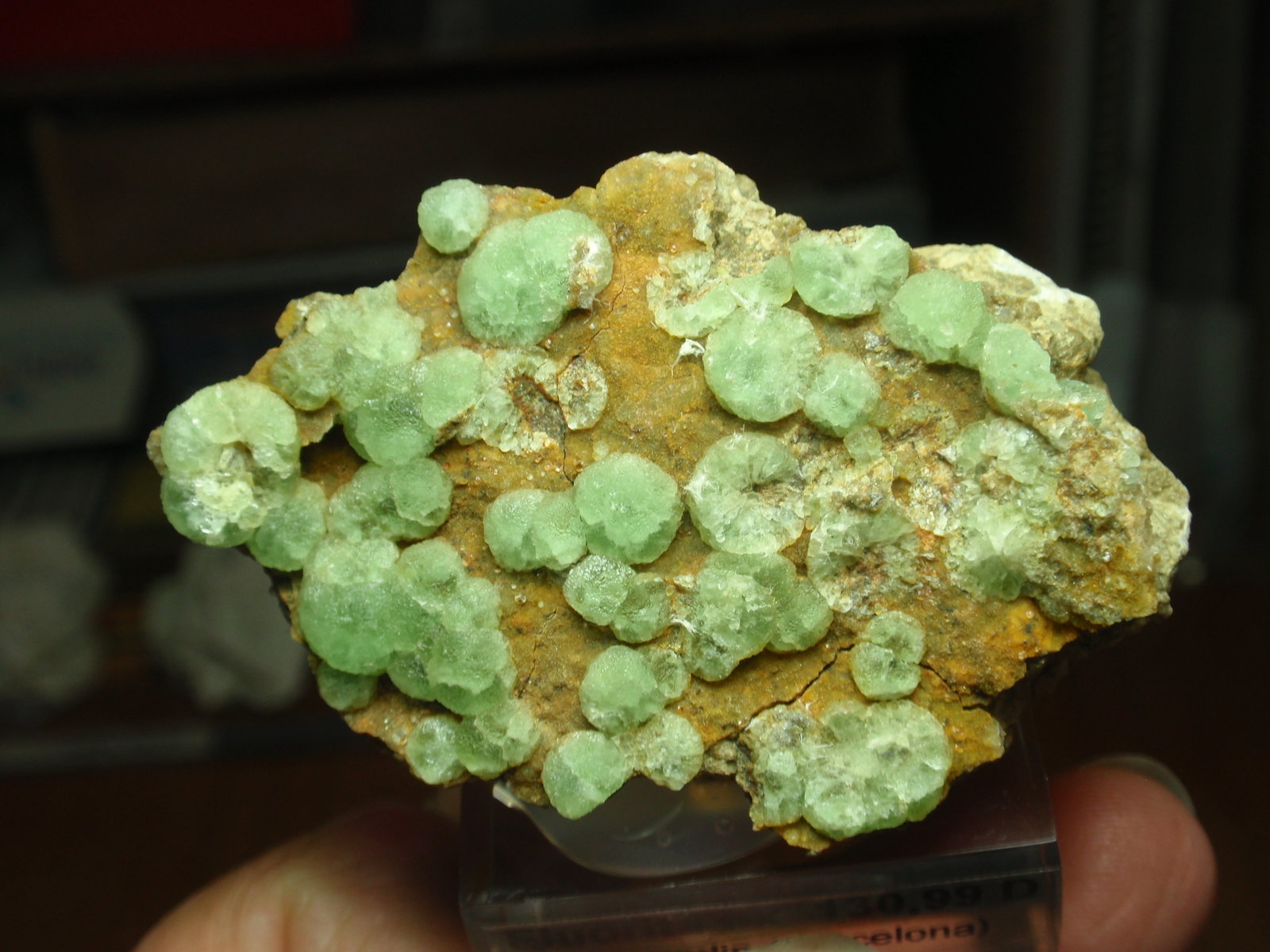 Fluorita
60x40 mm
(Autor: Ignacio)