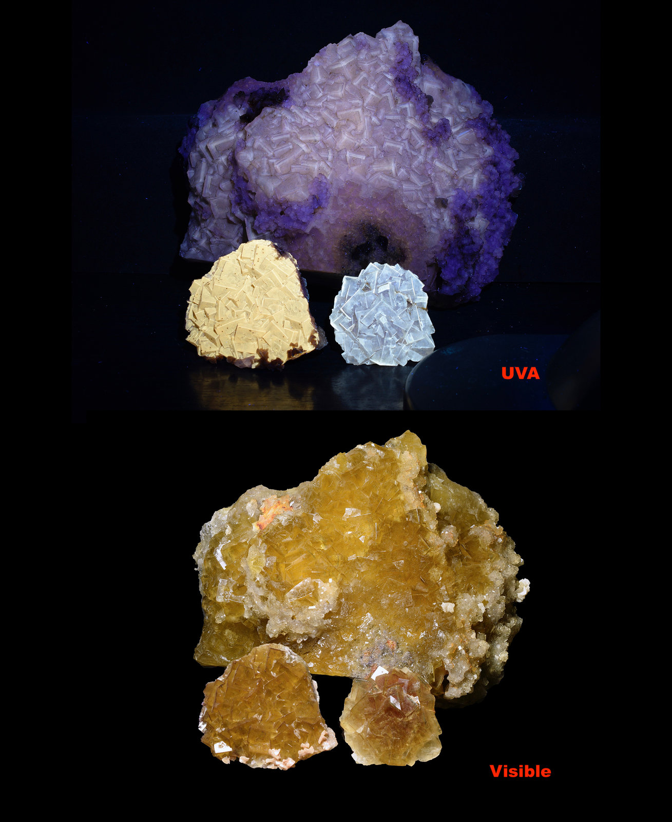 Fluorita
20 x 16 x 11 la pieza mas grande
(Autor: UVmineral)