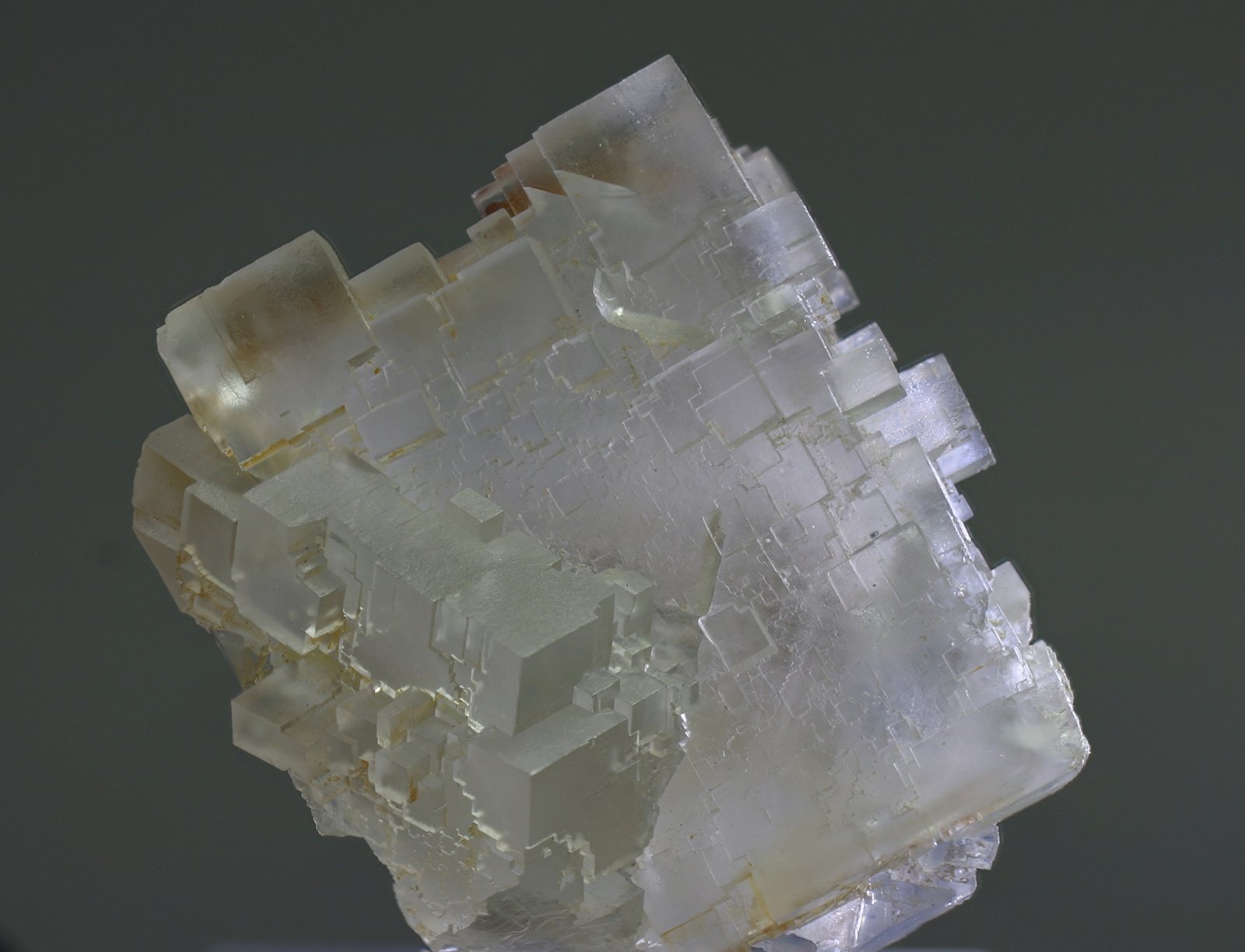 Fluorita
50x50mm
(Autor: Ramon A  Lopez Garcia)