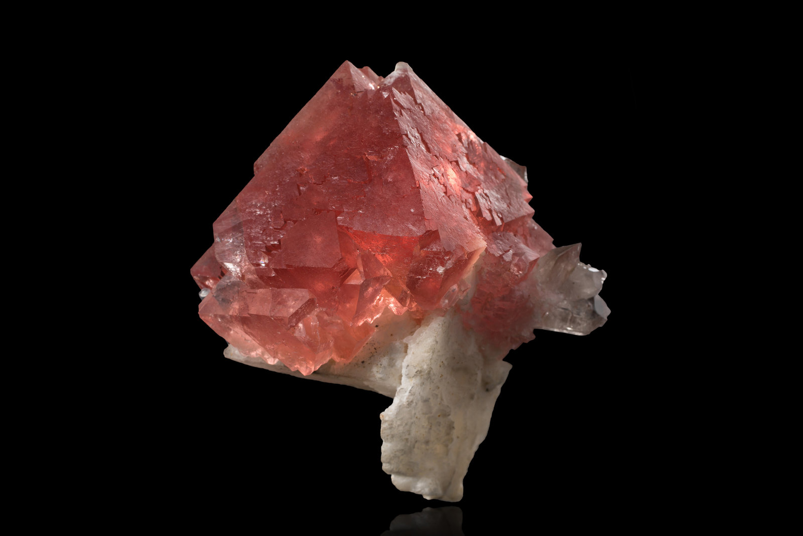 Fluorita con Cuarzo en Calcita
9.5 x 8.5 x 11 cm / Cristal principal: 7.3 cm.
(Autor: Museo MIM)