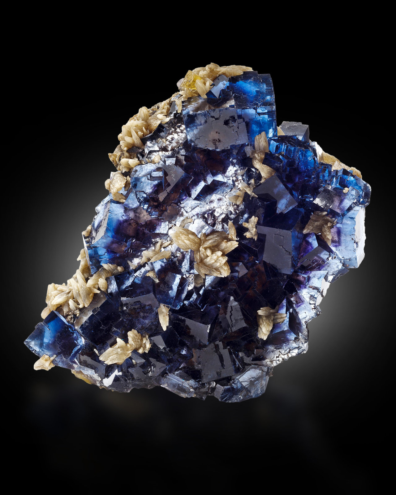 Fluorita, Calcita
22 x 19 x 12 cm / Cristal principal: 5.4 cm.
(Autor: Museo MIM)