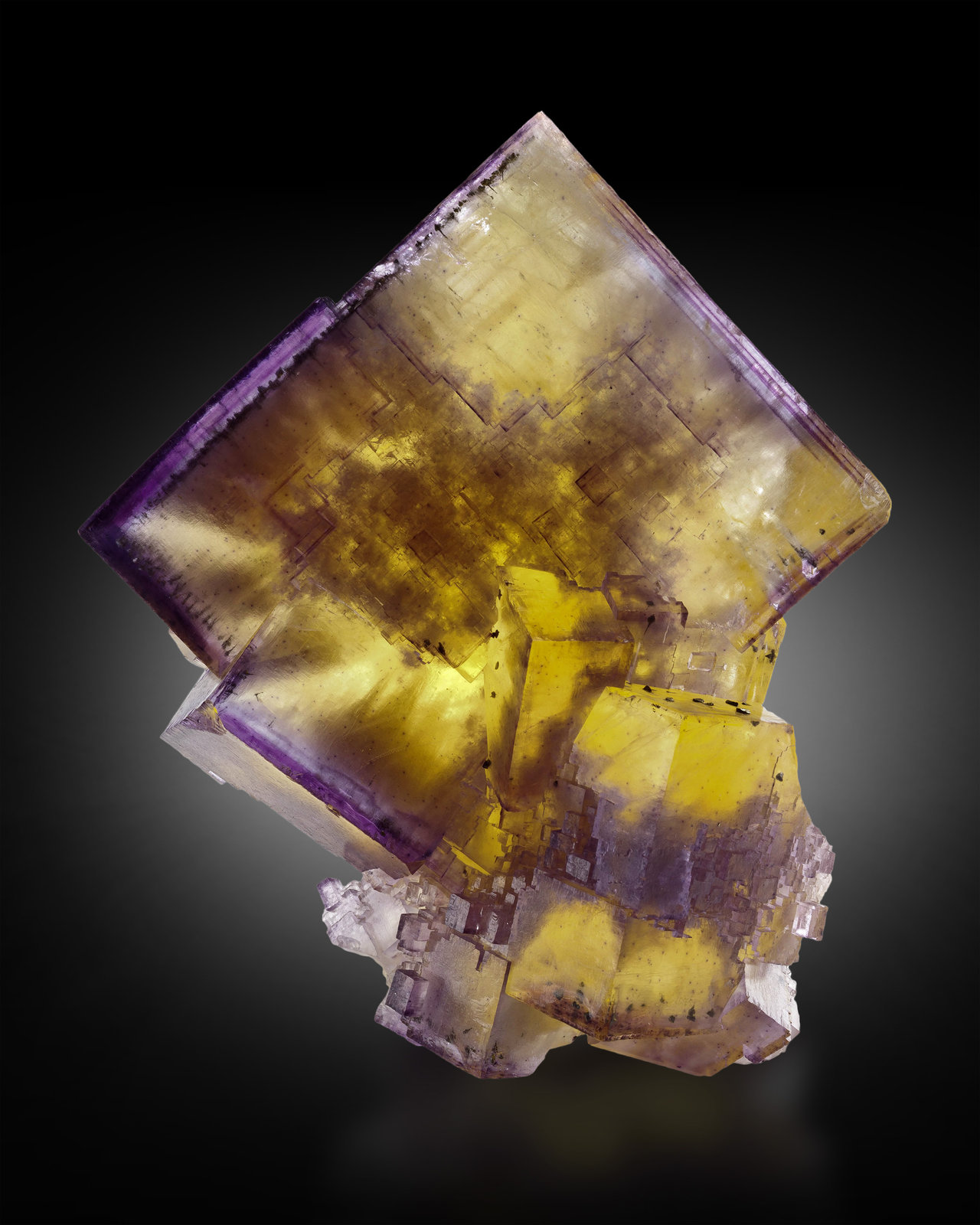 Fluorita
5.5 x 9.7 x 11.4 cm / Cristal principal: 11.1 cm.
(Autor: Museo MIM)