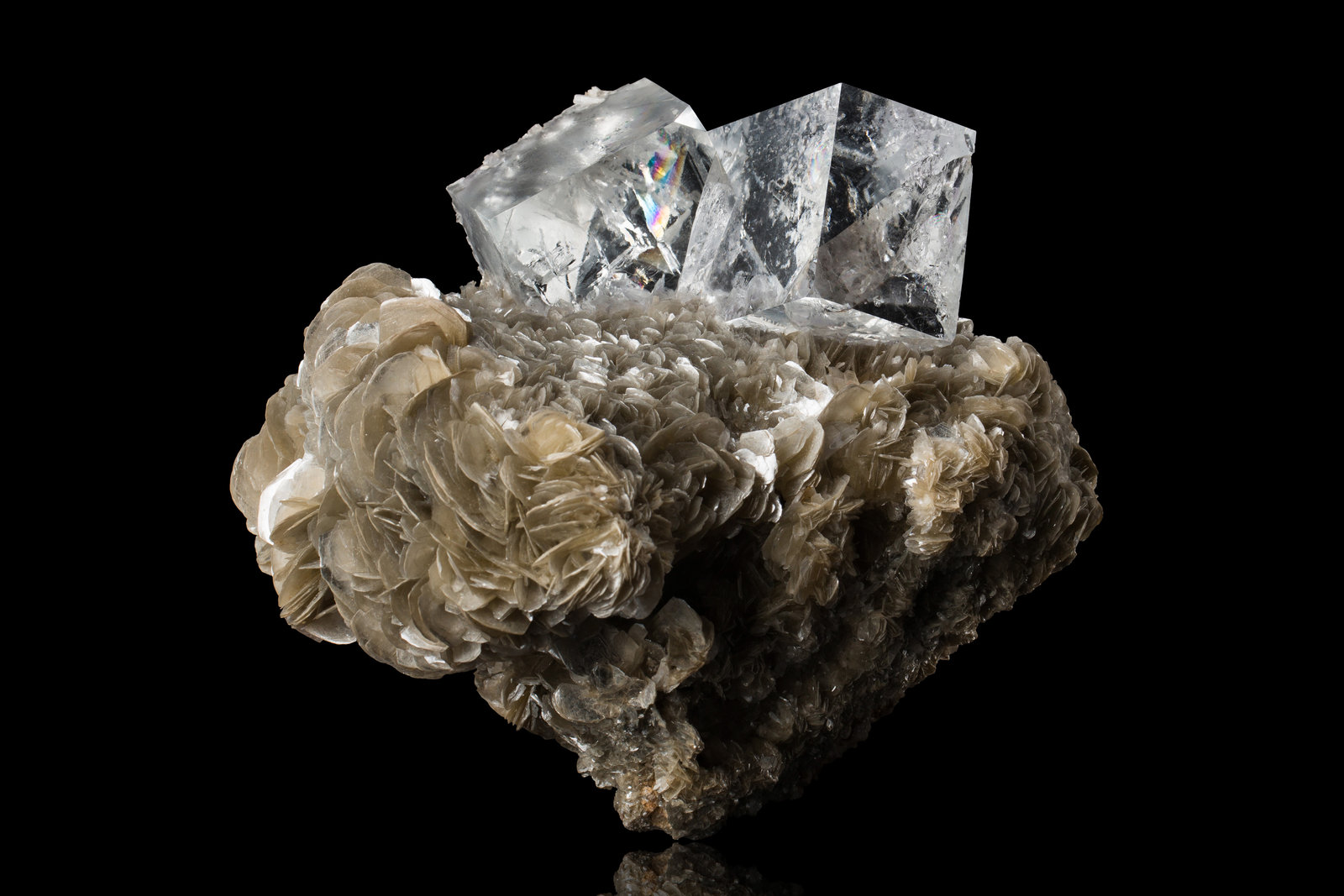 Fluorita
16.5 x 10 x 15 cm / cristal principal: 7.3 cm
(Autor: Museo MIM)