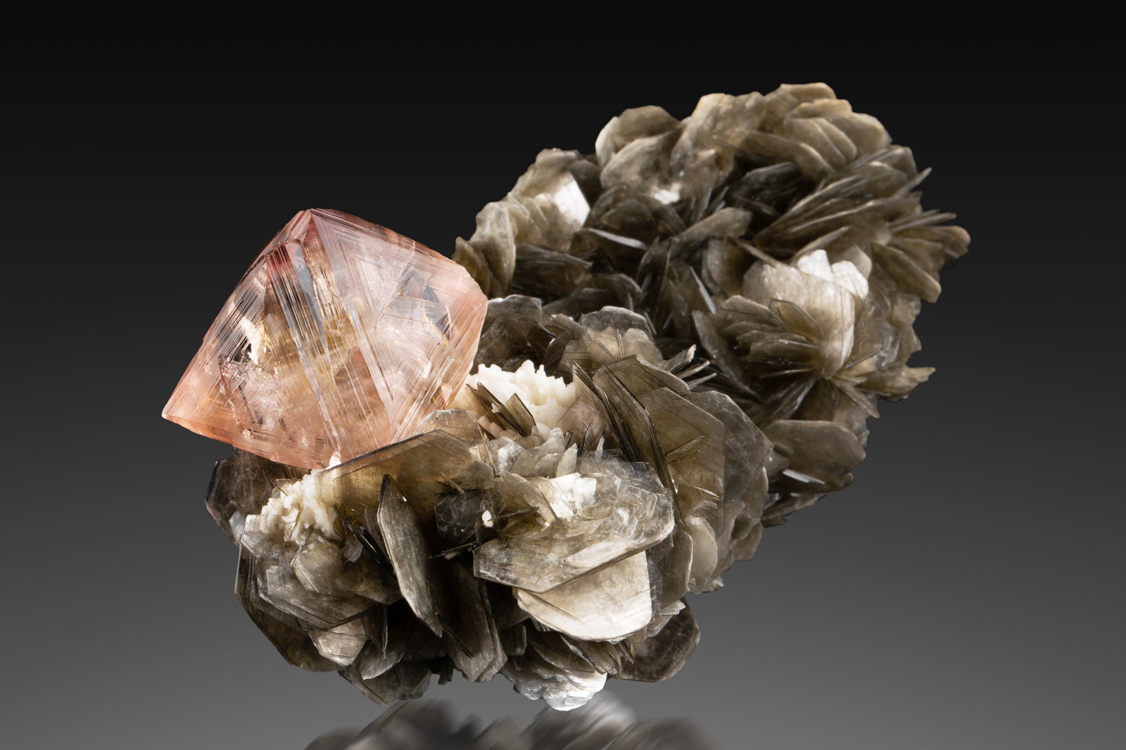 Fluorita
10 x 7 x 5.5 cm / cristal principal: 3.5 cm
(Autor: Museo MIM)