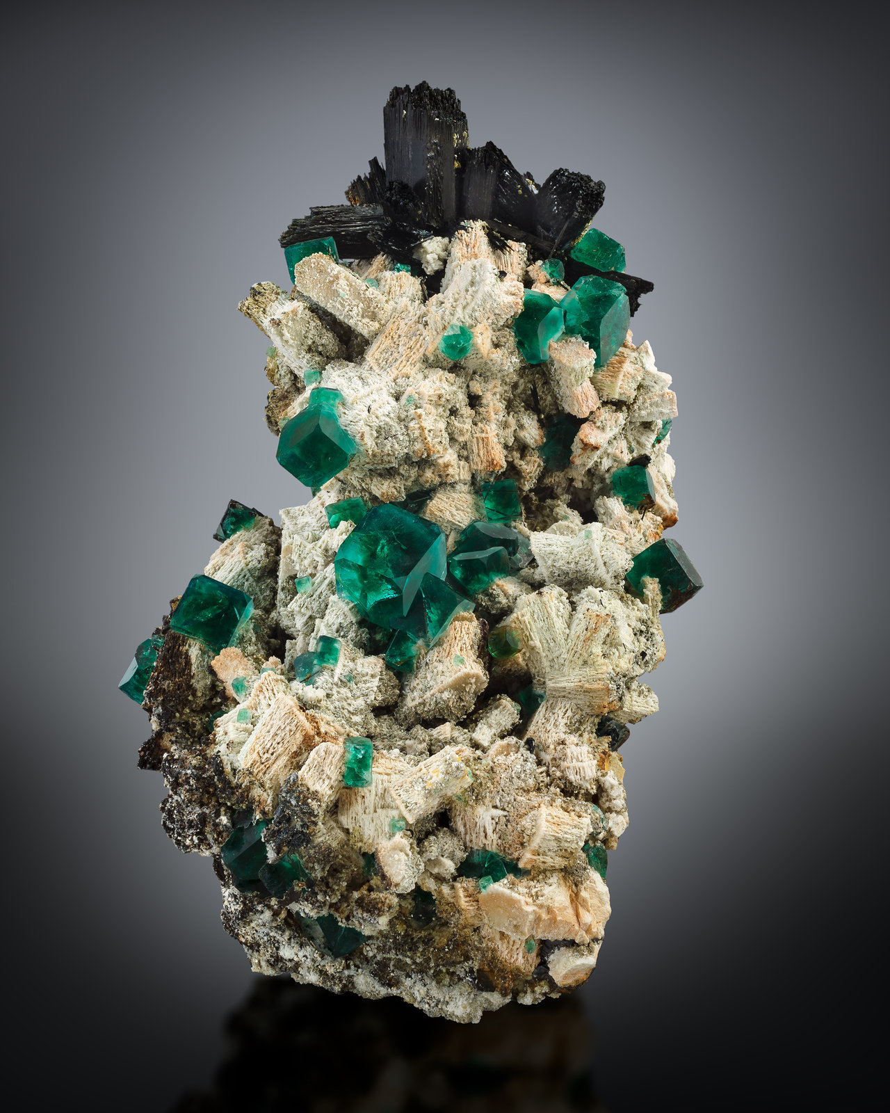 Fluorita
24 x 18 x 34 cm / cristal principal: 4.5 cm
(Autor: Museo MIM)