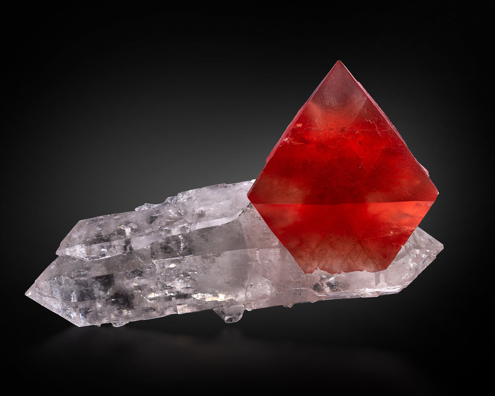 Fluorita en Cuarzo
21 x 13 x 9 cm / cristal principal: 10.8 cm
(Autor: Museo MIM)