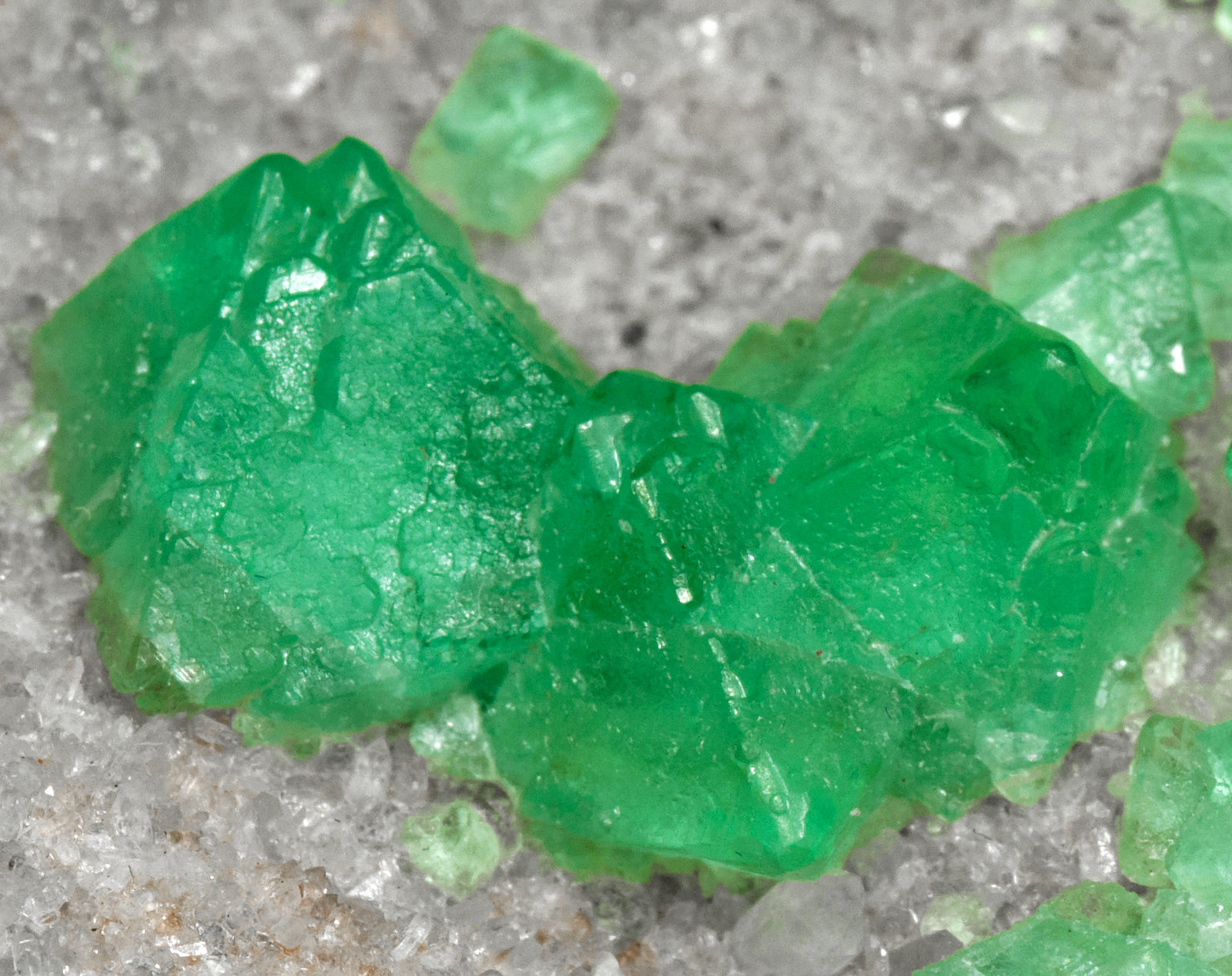 Fluorita (octaédrica)
cristal principal: 0.9 × 0.8 cm
(Autor: Jordi Fabre)